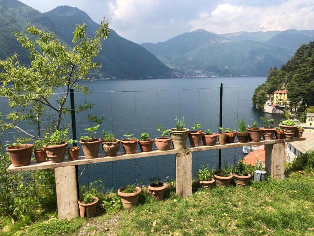 Gli Orti Della Civera " Cottagecore" Amazing View 内索 外观 照片