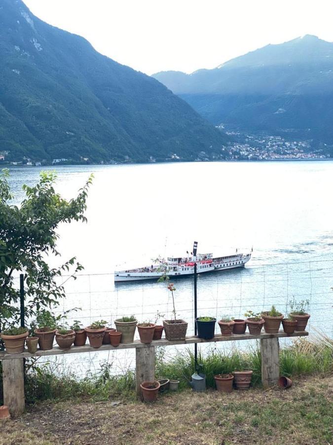 Gli Orti Della Civera " Cottagecore" Amazing View 内索 外观 照片