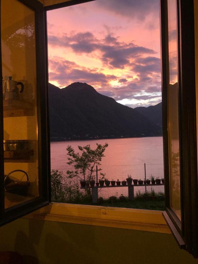 Gli Orti Della Civera " Cottagecore" Amazing View 内索 外观 照片
