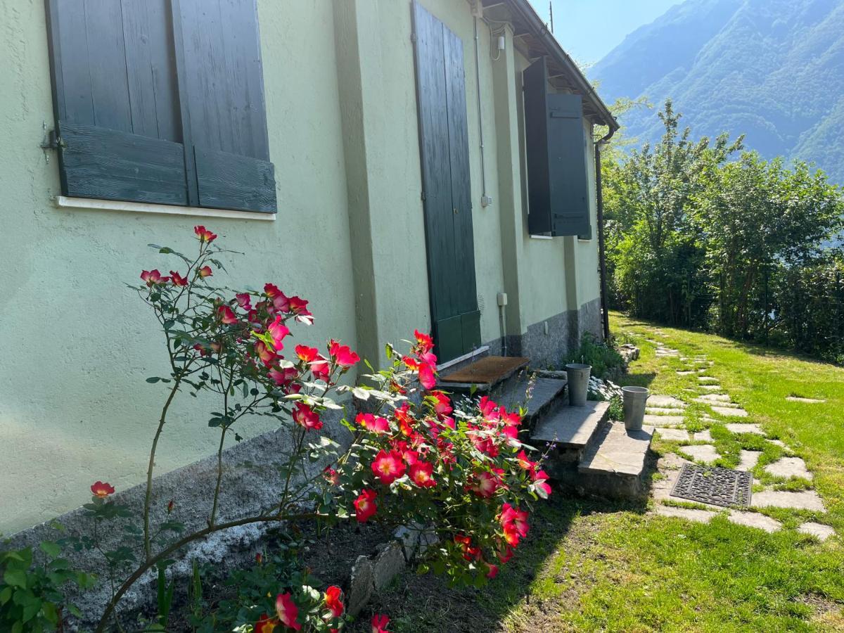 Gli Orti Della Civera " Cottagecore" Amazing View 内索 外观 照片