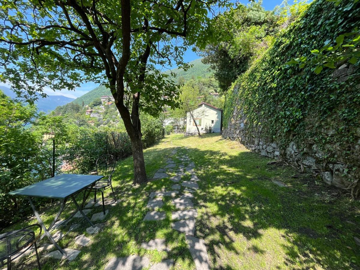 Gli Orti Della Civera " Cottagecore" Amazing View 内索 外观 照片