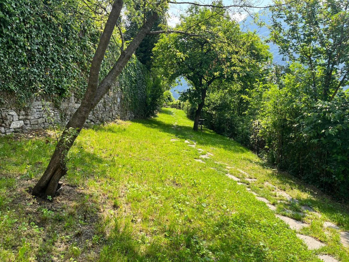 Gli Orti Della Civera " Cottagecore" Amazing View 内索 外观 照片